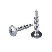 Agromak Saç Vidası 2.9 x 19 mm 50 Adet - 153.76.178