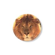 KaktüsKedi PopSocket Telefon Tutucu Aslan 555638
