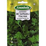 Anadolu -529 İtalyan Maydanoz Sebze Tohumu Seri-1