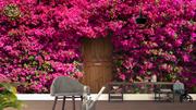 ArtWall Yapışkanlı Çiçek Resimli Duvar Kağıdı 220x160 cm