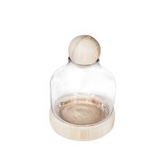 Bambum Funnie - Dekoratif Cam Fanus 24x18 cm