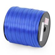 Beal Tubular 26 mmx100 Mt Perlon Bant MAVİ