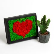 Frame - Kalp ve Sukulent