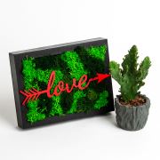 Frame - Love ve Sukulent