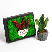 Frame - Seni Seviyorum ve Sukulent