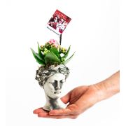 Kişiye Özel Fotoğraflı Helen Antik Kalanchoe 23 cm