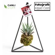 Kişiye Özel Fotoğraflı Pendulum Black Kokedama Haworthia 18x30 cm