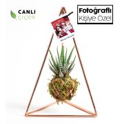 Kişiye Özel Fotoğraflı Pendulum Rose Kokedama Haworthia 18x30 cm