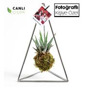 Kişiye Özel Fotoğraflı Pendulum Silver Serisi Haworthia 18x30 cm