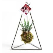 Kişiye Özel Fotoğraflı Pendulum Silver Serisi Haworthia 18x30 cm