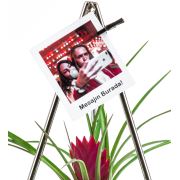Kişiye Özel Fotoğraflı Pendulum Silver Kokedama Tillandsia 18x30 cm