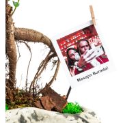 Kişiye Özel Fotoğraflı Rock Ficus Bonsai 25 - 30 cm
