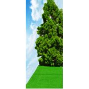 Tropıcana 25 mm Jt En 1 metre Dekoratif Çim Halı Yeşil 1m² 100x3 Metre