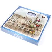 Cvs DN-1741 Analog Banyo Tartısı
