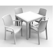 Estelia Elena Camsız 80x80 Masa + 4 Adet Royal Koltuk Beyaz