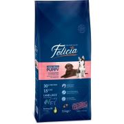 Felicia High Premium Low Grain Düşük Tahıllı Kuzu Etli Büyük Irk Yavru Köpek Maması 15Kg