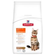 Hills Science Plan Adult Optimal Care Kuzu Etli Pirinçli Yetişkin Kedi Maması 2 Kg