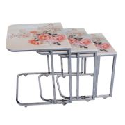 Zigon Sehpa Takımı Kuşlu Gülpembe Desen