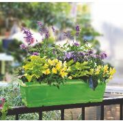 Lider SBSCY Sardunya Balkon Saksı Çiçek Yeşili 10 Litre