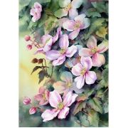 Maison M MAS300 Plum Blossom Desenli Ev İçi Paspası