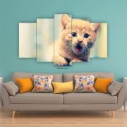 Ofis Bazaar Şaşkın Kedi Mdf Tablo Cnv 43