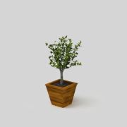 Onlywood Flower Vela Ahşap Saksı Eskitme