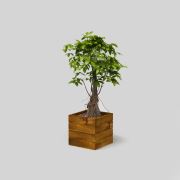 Onlywood Flower Box Ahşap Saksı Eskitme