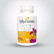 Pet Active Silycumin Köpekler İçin Detoks Etkili Bağışıklık Sistemi Destekleyici 45 Tablet