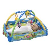 Playgro 182214 Mutlu Çiftlik Işıklı ve Sesli Oyun Halısı