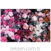 Prado 3D Baskılı Halı Gül Sepeti 180x280 cm