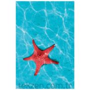 Prado 3D Baskılı Halı Deniz Yıldızı 150x233 cm
