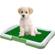 Yavru Köpek Lazımlık
