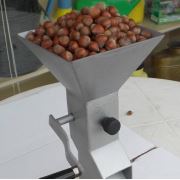 Kollu Fındık Kıracak