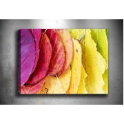 Tablocenter Çiçek Kanvas Tablo 70x100 cm