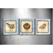 Tablo Center 3 Parçalı Kanvas Tablo 30x30 cm drprc9041