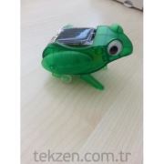 Solar Zıplayan Kurbağa 3365