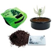 Buffer Bonsai Karaçam Ekim Kiti