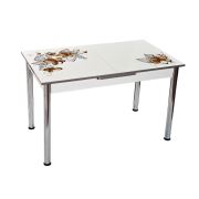 Tekzen Home Mdf Çiçek Desenli Açılır Yemek Masası + 4 Sandalye