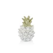 Cemile Beyaz Küçük Ananas 6x9 (48)