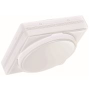 Tekzen Dekoratif Led Oval Panel Armatür Beyaz Işık