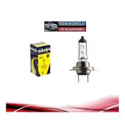 12V H7 55w Halogen Ampul 10’lu Paket
