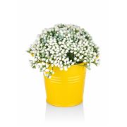 The Mia Yapay Çiçek - 15 cm CCK0001
