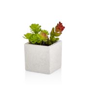 The Mia Yapay Sukulent - Beton Saksılı CCK0100