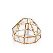 The Mia Brass Dekor & Çiçeklik 20 x 12 Cm BRS0066