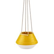 The Mia Çiçeklik - 20 cm Sarı