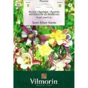 Vilmorin-302 Haseki Küpesi Tohumu Seri-2