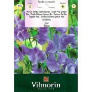 Vilmorin-415 Eflatun Nazende Çiçeği Tohumu