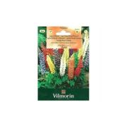Vilmorin-366 Acıbakla-Lüpen Çiçeği Tohumu