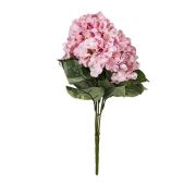 Vitale Pembe Yaban Gülü Demet