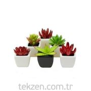 Yapay Kaktüs Seramik Saksılı